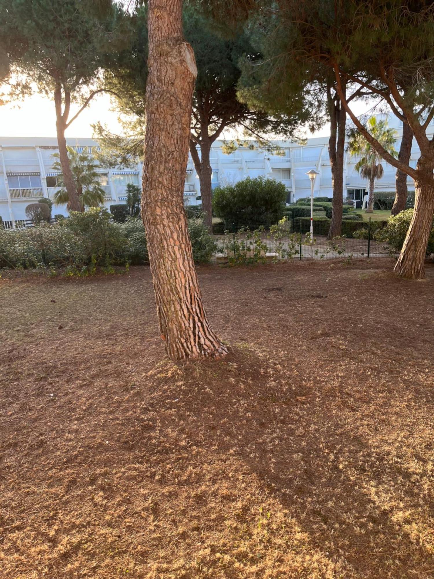 Les Caravelles Plage Sud Le Grau-du-Roi Kültér fotó